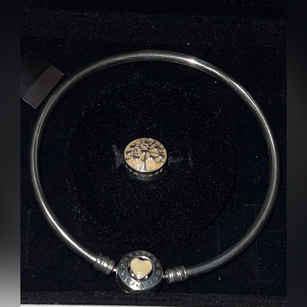 PANDORA Set Loving Heart You Are So Loved Charm Bracelet With Family Tree Charm